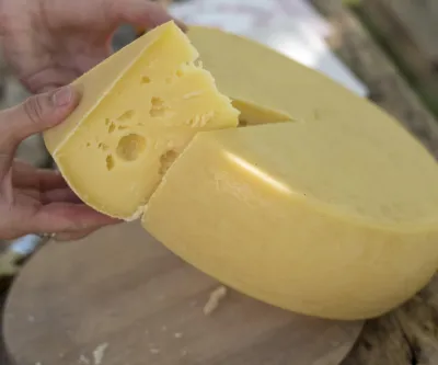 Käse